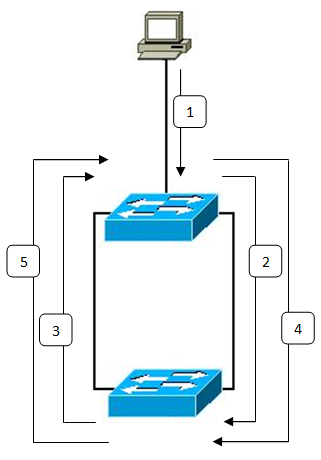 Frames multiplying around a switching loop, flooding the network into a broadcast storm.