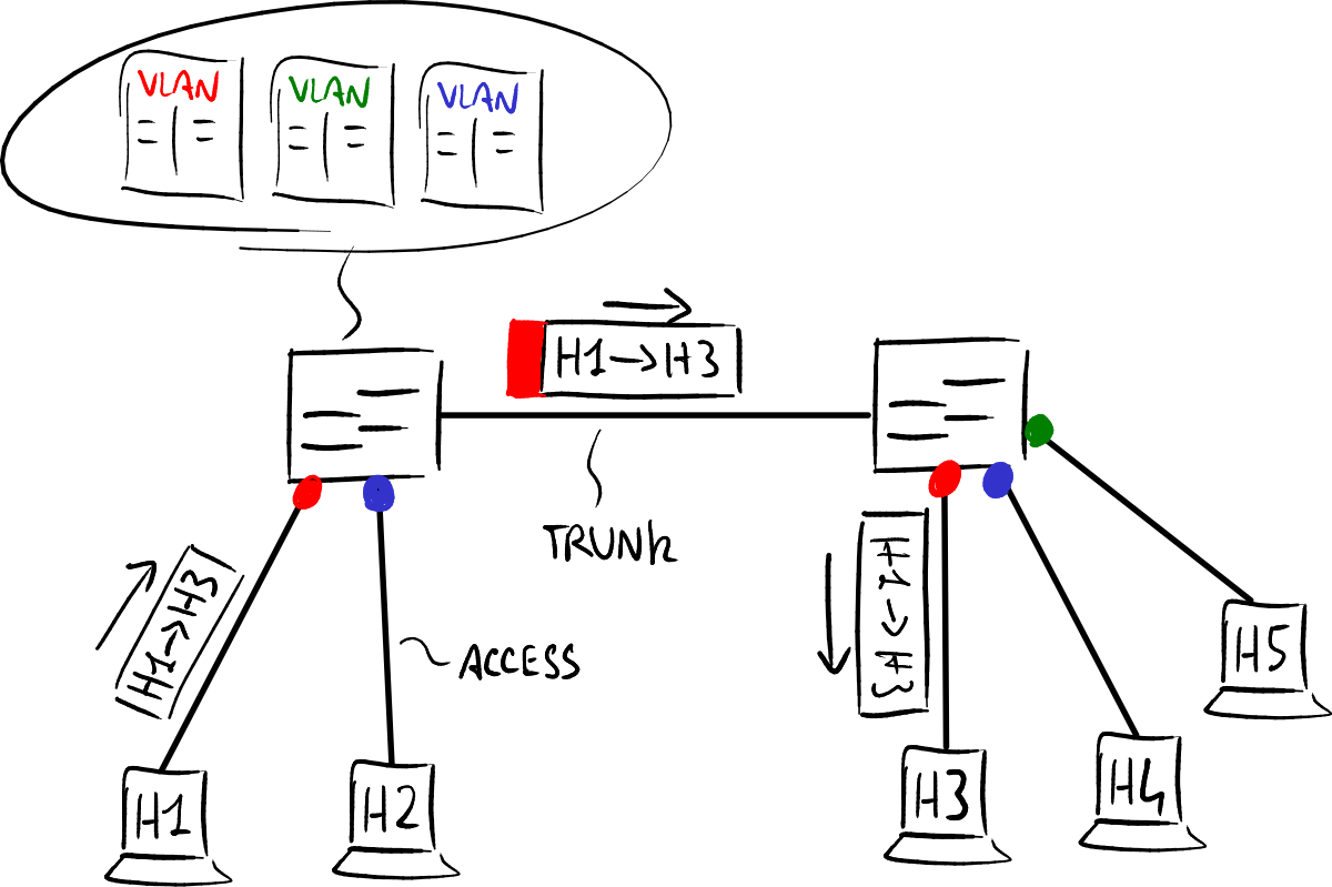 Two switches joined by a single trunk link carrying several tagged VLANs, with access ports per VLAN.